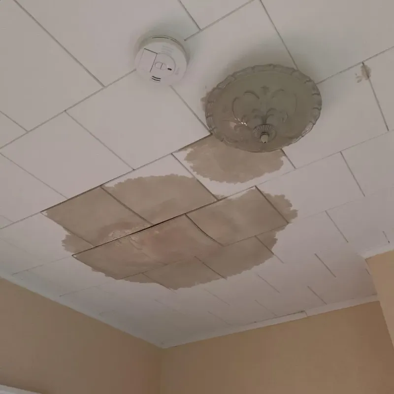 Ceiling Water Damage Repair in Carbondale, PA