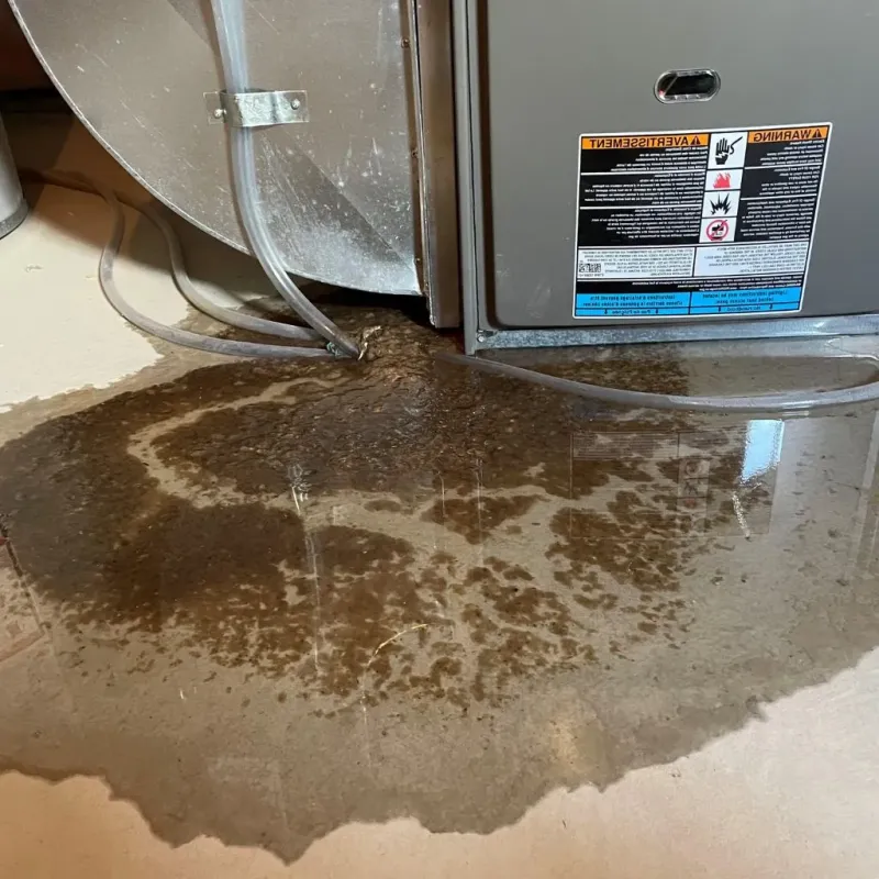 Pipe Burst and Leak Restoration in Carbondale, PA