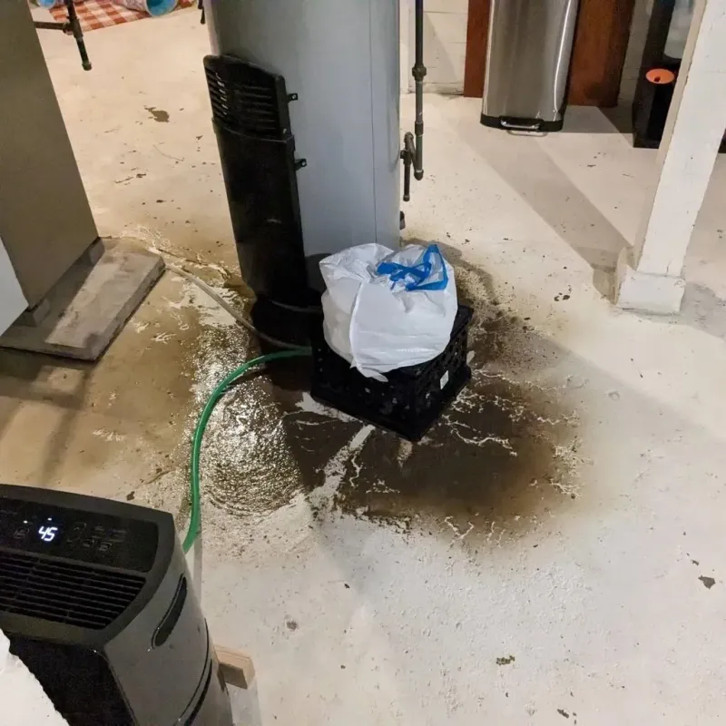 Sewage Backup Cleanup Service in Carbondale, PA